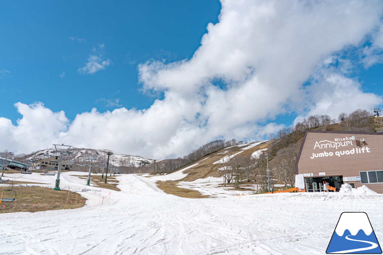 ニセコアンヌプリ国際スキー場｜さすがニセコ！山頂から山麓まで全長約4,000ｍのロング滑走可能です(^^)/